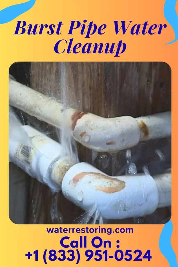 Burst Pipe Water Cleanup in Cleona, PA