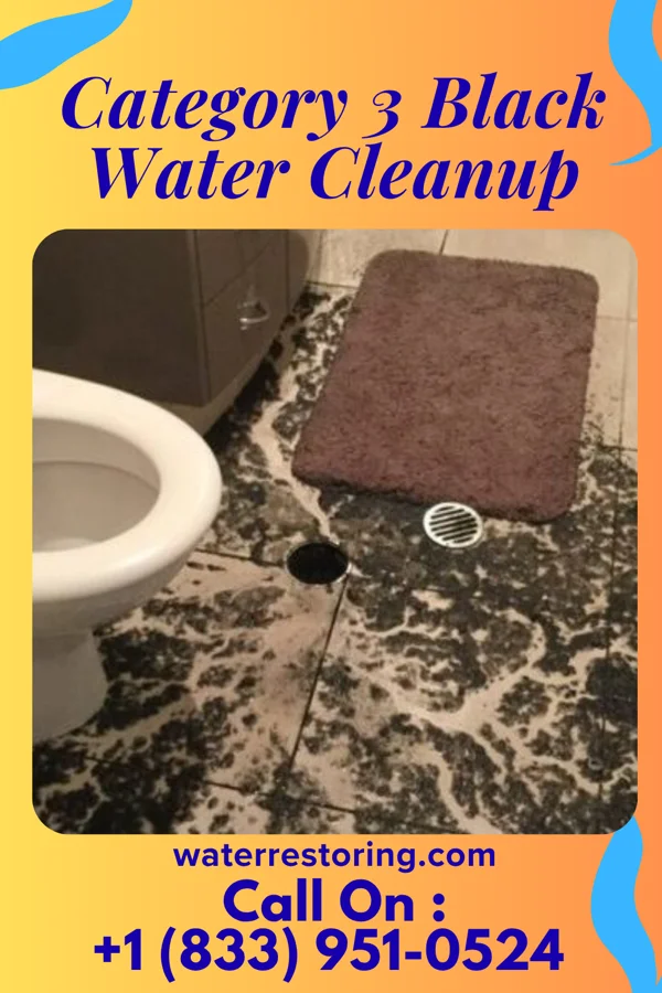 Category 3 Black Water Cleanup in Cleona, PA