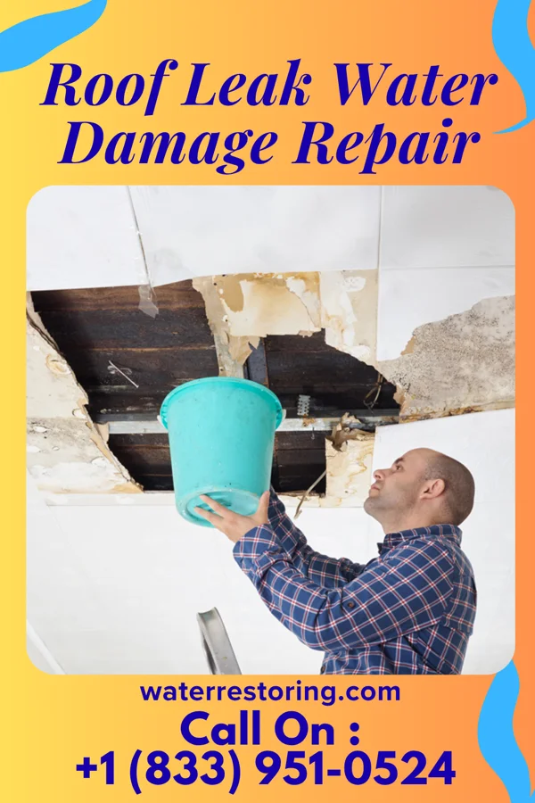 Roof Leak Water Damage Repair in Cleona, PA