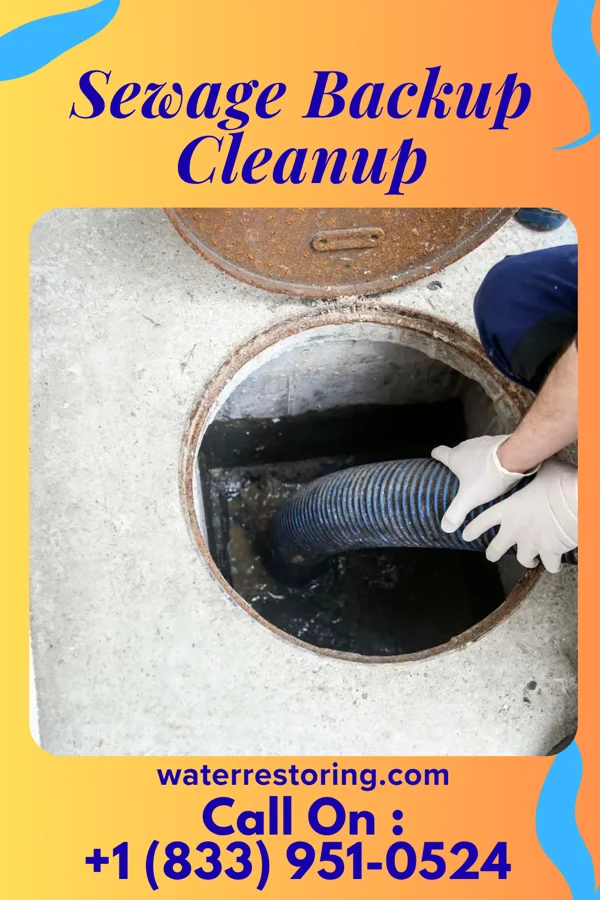Sewage Backup Cleanup in Cleona, PA