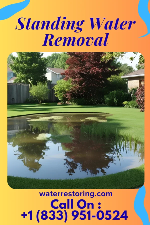 Standing Water Removal in Cleona, PA